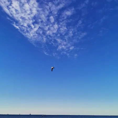 Gæstehus Vila Diana Eforie Sud (Constanta)